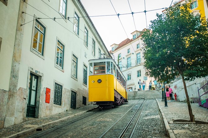 3-Hour Private Guided Walking Tour of Lisbon - Miradouro Chao do Loureiro, then Santa Luzia and Portas do Sol