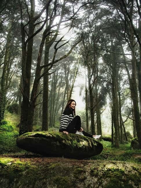An Epic Sintra Tour - Regaleira Palace | Cabo da Roca & More - Enchanted Forest, Secret Viewpoints, and the Hidden-Gem Spirits Stop