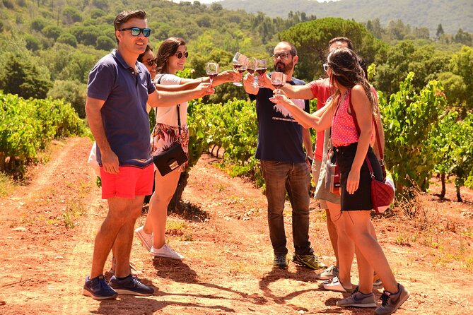 Arrabida and Sesimbra Small-Group Day Trip from Lisbon with Wine Tasting - Arrábida Natural Park: viewpoints that make the drive feel worth it