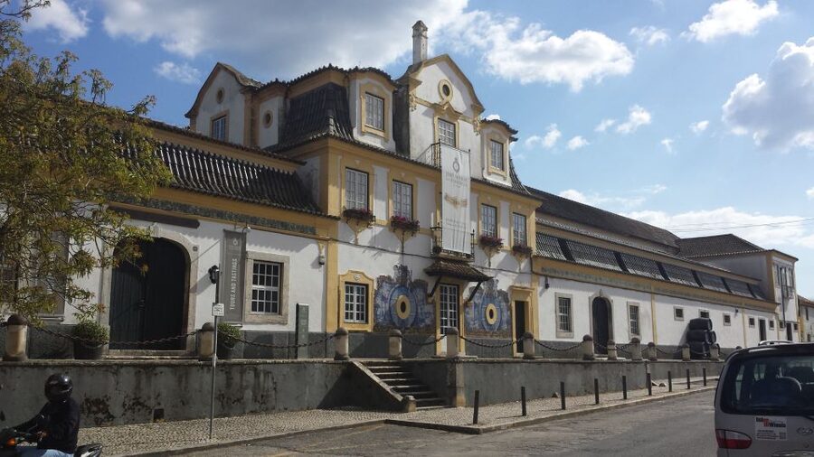 Arrábida: Full-Day Private Tour with Wine Tasting - Key highlights that make this day feel special