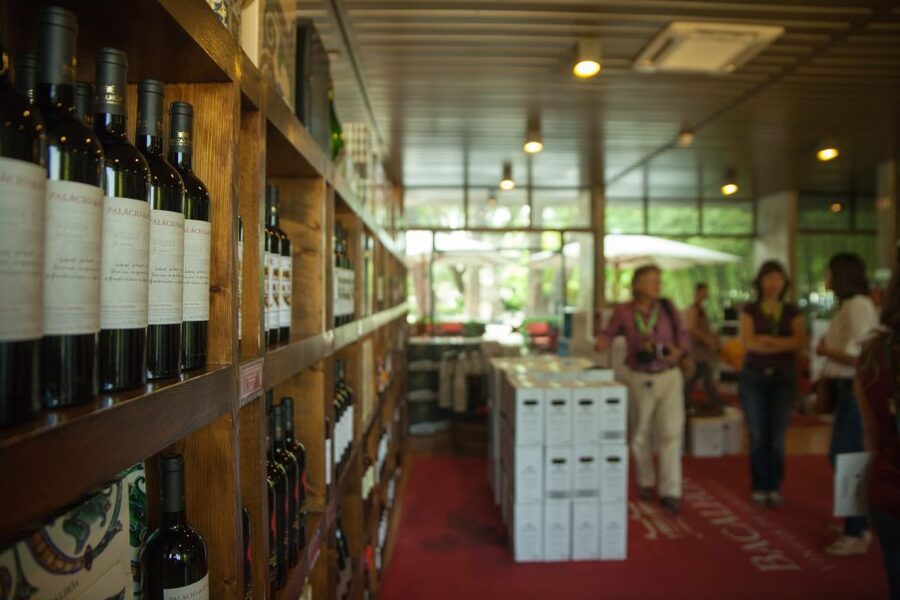 Arrábida: Full-Day Private Tour with Wine Tasting - The Ridge Climb Payoff: Lisbon to Tróia and Setúbal