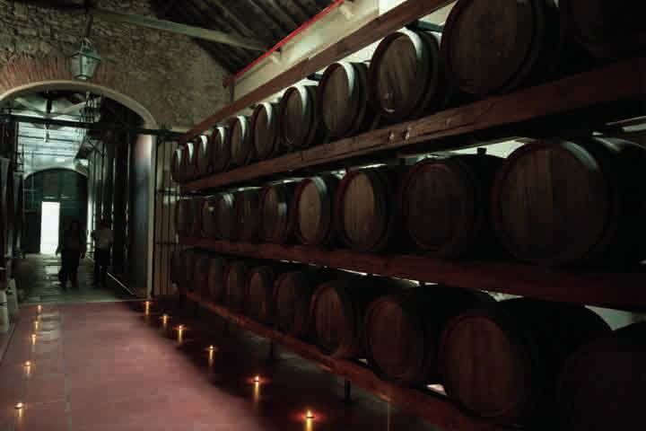 Arrábida: Full-Day Private Tour with Wine Tasting - A Private Full-Day Rhythm Through Arrábida