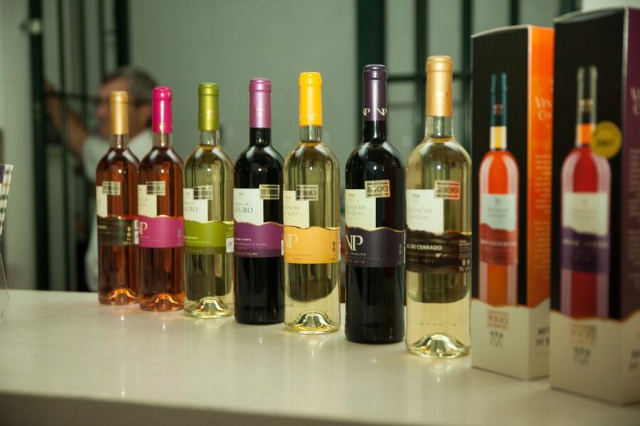 Arrábida: Full-Day Private Tour with Wine Tasting - Praia das Bicas: Unexplored Beach Time That Feels Like a Secret