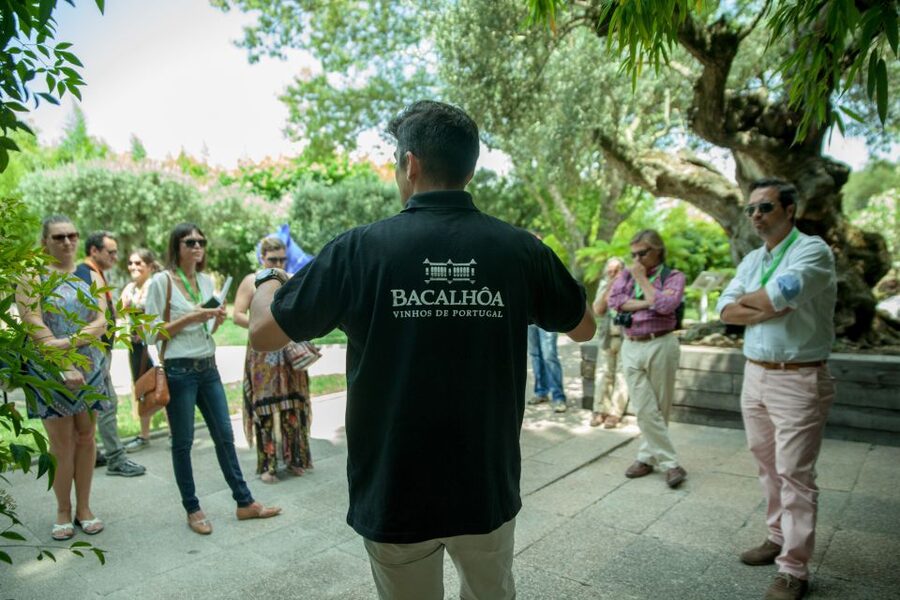 Arrábida: Full-Day Private Tour with Wine Tasting - Cabo Espichel: Nossa Senhora do Cabo, Aqueduct, and Footprints