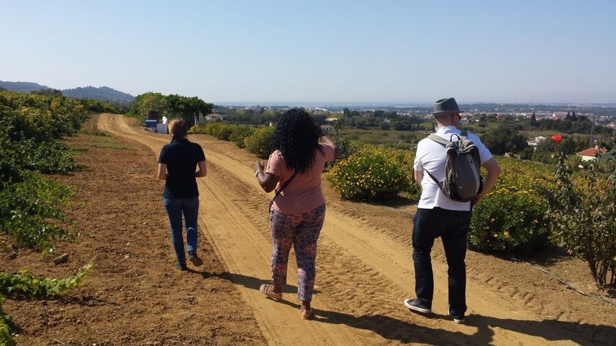 Arrábida: Full-Day Private Tour with Wine Tasting - Sesimbra Castle and the Fishing Village Bay