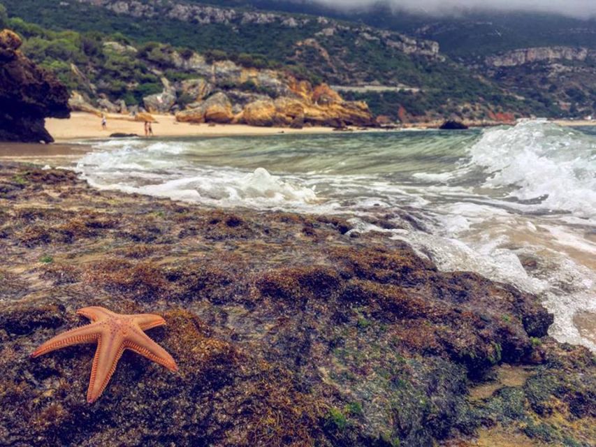 Arrábida Jeep tour to the most beautiful beach of Europe - Beach time with breathing room
