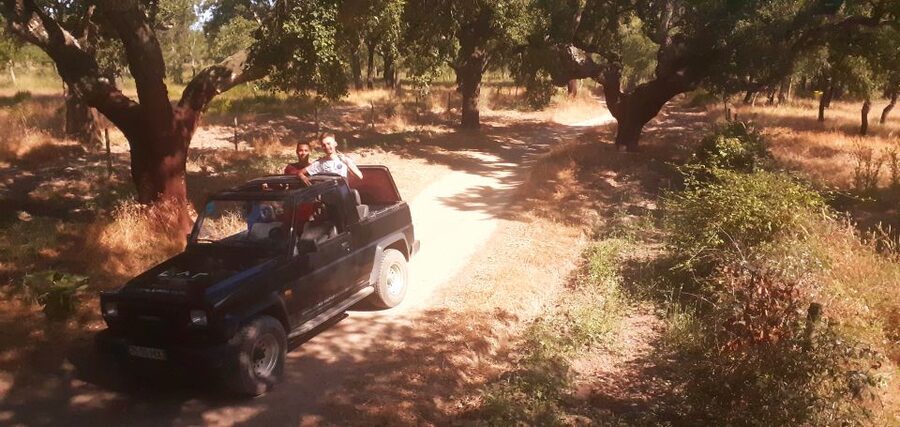 Arrábida Jeep tour to the most beautiful beach of Europe - The classic Jeep Cabrio-ATV ride: fun, not extreme