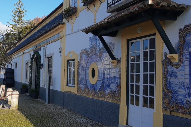 Arrábida: Private Setubal Highlights Tour (Full Day) - Vila Nogueira de Azeitão: olive-grove roots and free-time breathing space