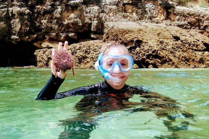 Arrábida Snorkeling Adventure with Transfer from Lisbon - The 8:00 am pickup to your beach and mountain rhythm