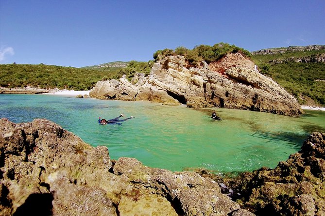 Arrábida Snorkeling Adventure with Transfer from Lisbon - The guide experience that makes or breaks snorkeling