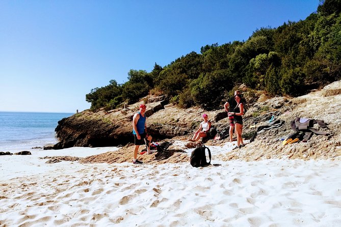 Arrábida Snorkeling Adventure with Transfer from Lisbon - What you get beyond the water: photos, video, and small details