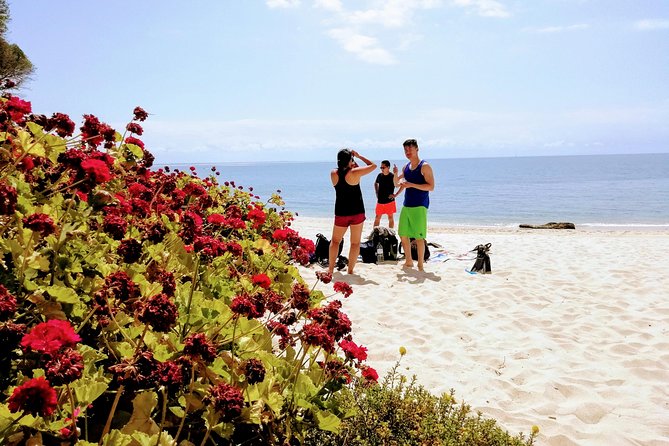 Arrábida Snorkeling Adventure with Transfer from Lisbon - What about food and what to pack for a 5-hour day
