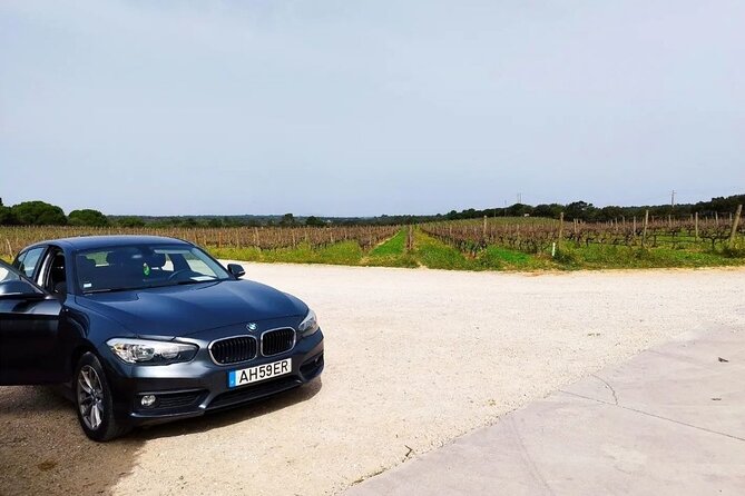 Arrábida Wine Tour - 3 Wineries, Traditions & Views from Lisbon - Key highlights worth your time