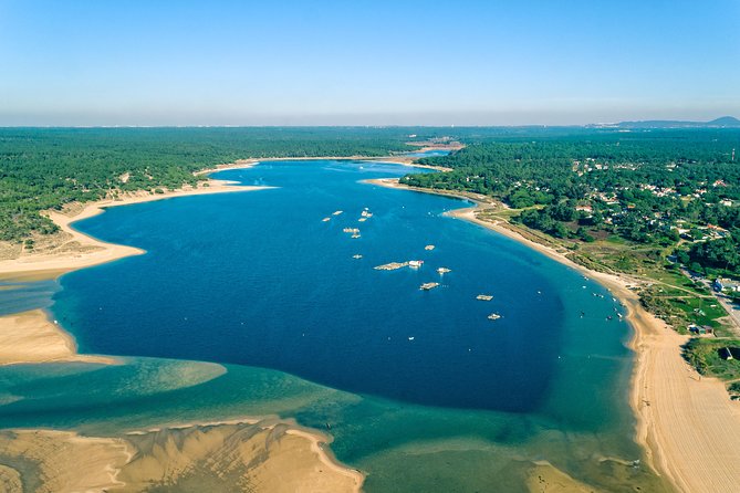 Arrabida Wine Tour from Lisbon: Wineries, Tastings & Tile Factory - Key points if you want the best day