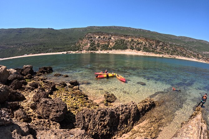 Award Winner Premium Kayak and Coasteering Adventure with Lunch - Arriving at Jardim Zoológico, then heading south