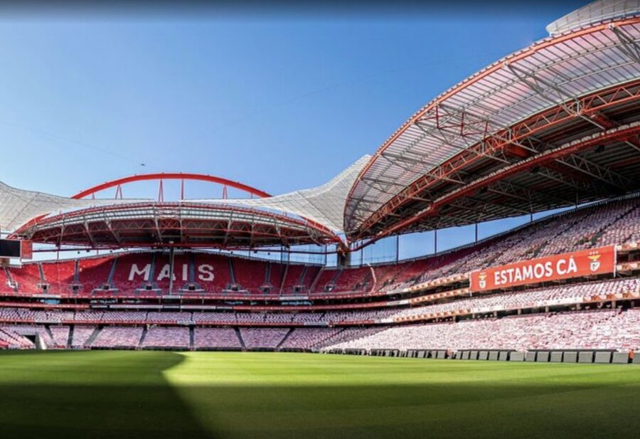 Benfica Stadium and Museum Tour - Executive seats to the pitch: the walk that changes your perspective