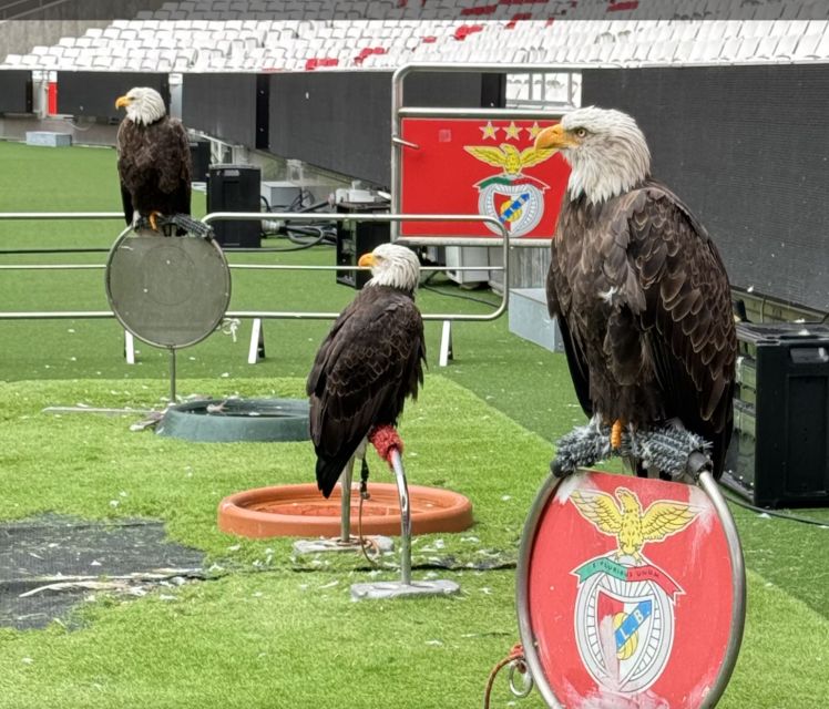 Benfica Stadium and Museum Tour - The tile factory stop: a Portugal detour that actually adds value