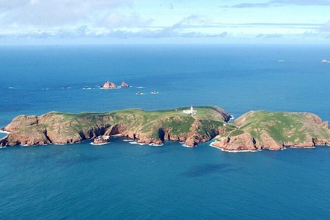 Berlenga Grande Island Private Tour from Lisbon - Who This Private Berlenga Grande Tour Fits Best