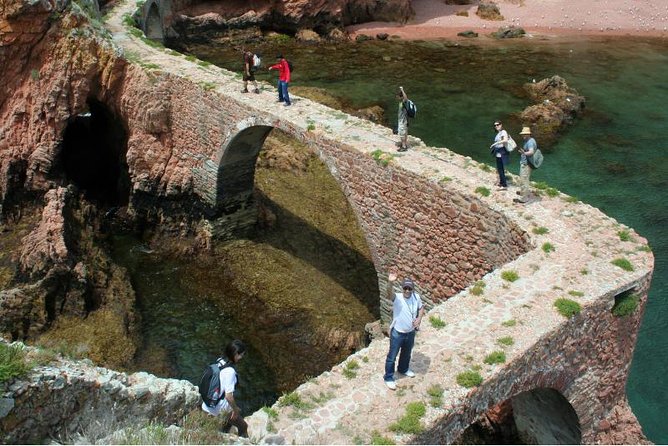 Berlenga Island Small-Group Day Trip from Lisbon - The guide experience: why names keep showing up in good days