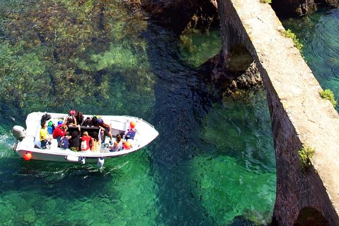 Berlenga Island Small-Group Day Trip from Lisbon - Price and value: what you’re paying for, and what costs extra
