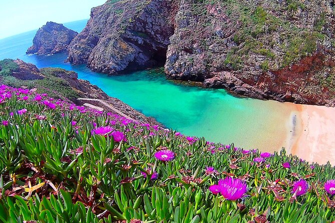 Berlengas Island Catamaran Tour - Round Trip - Fort St. John and the lighthouse: choosing your best views