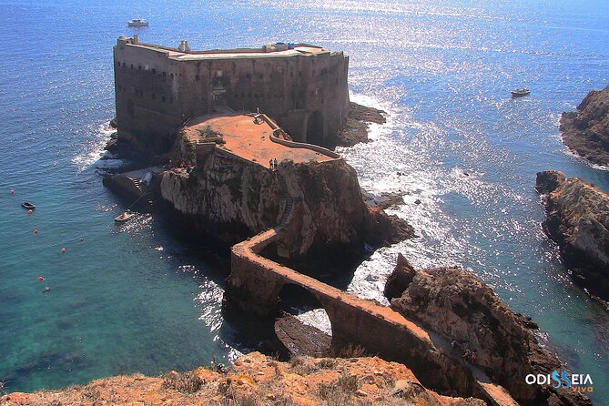 Berlengas Island Catamaran Tour - Round Trip - The ODISSEIA VIVA app and earphones you must pack
