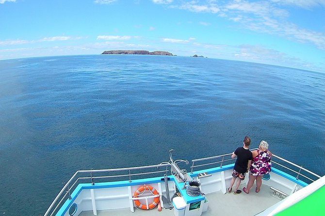 Berlengas Island Catamaran Tour - Round Trip - Timing that can surprise you, and how to plan your transport