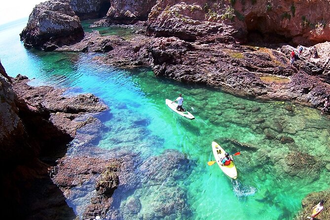 Berlengas Island Catamaran Tour + SUP - Snorkeling and swimming in the Atlantic: how to judge sea life time