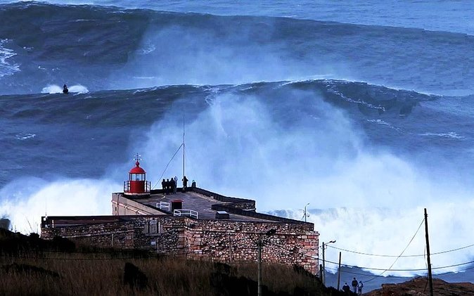 Berlengas Tour - Key points to know before you go
