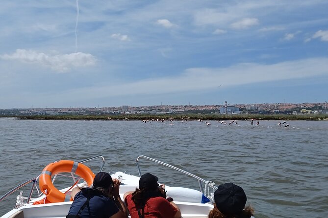 Boat Tour - Bird Observation in the Tejo Nature Reserve - Price and Value for a 3-Hour Lisbon Nature Experience
