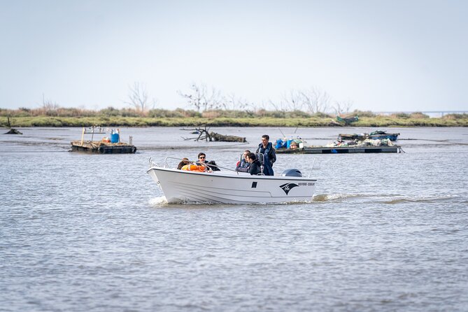Boat Tour - Bird Observation in the Tejo Nature Reserve - Should You Book This Bird Observation Boat Tour?