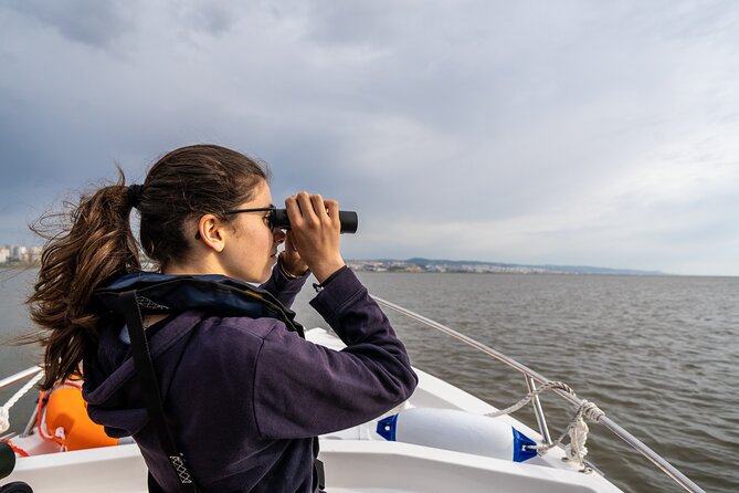 Boat Tour - Bird Observation in the Tejo Nature Reserve - FAQ