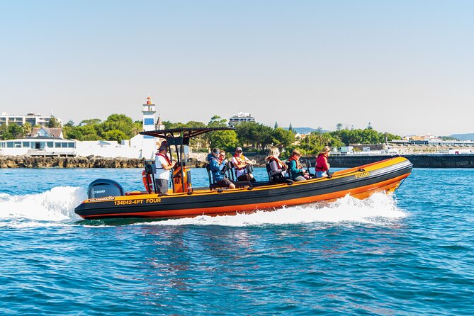 Cascais coast: Dolphin watching - Key highlights you should care about