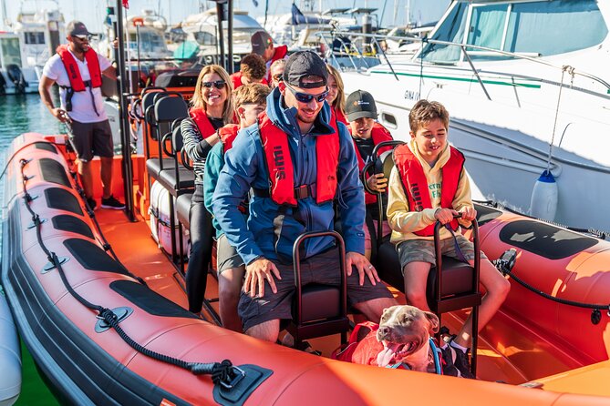Cascais coast: Dolphin watching - How much it costs, and why it can still be good value