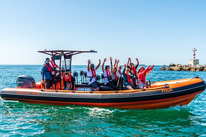 Cascais coast: Dolphin watching - Where this fits in your Cascais day plan