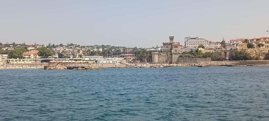 Cascais Coastal Secrets: 90-Minute Cruise with Free Drinks - The stops and wildlife window: how the 90 minutes actually feel