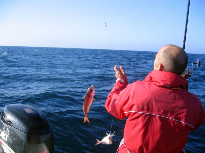 Cascais Deep-Sea Fishing Trip - Why Cascais Marina Works So Well for a Fishing Trip