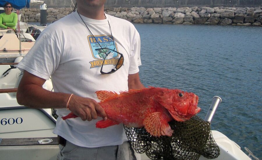 Cascais Deep-Sea Fishing Trip - Weather, Sea Conditions, and the Motion-Sickness Reality