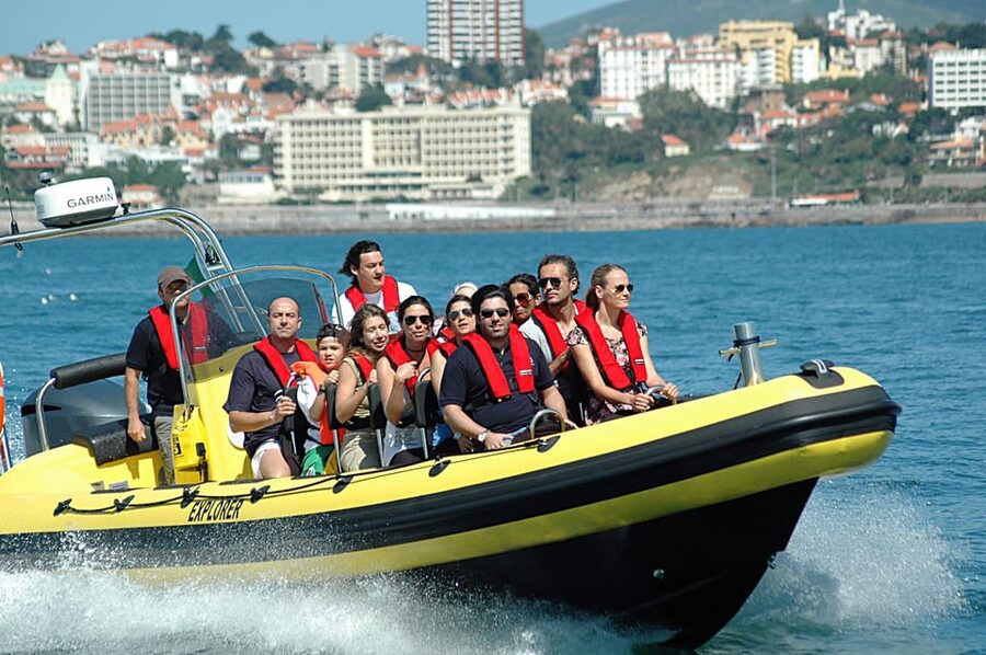 Cascais: Dolphin Watching Speedboat Tour - Price and value: what $76 buys in real-life terms