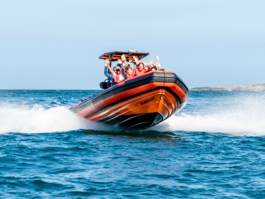 Cascais: Dolphin Watching Tour - Setting off from Cascais Marina, where the coast looks made for watching