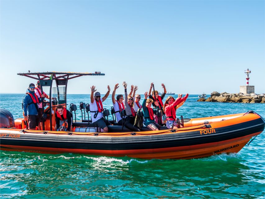 Cascais: Dolphin Watching Tour - Safety, distance, and why it actually improves the encounter