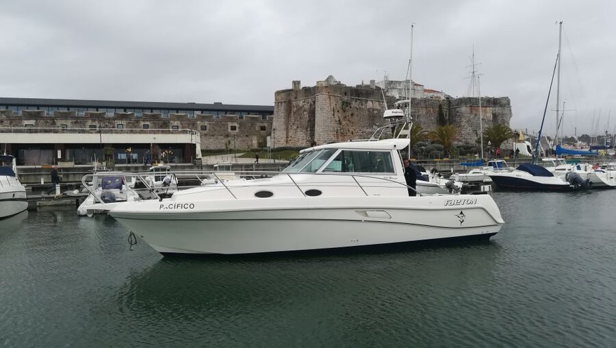 Cascais: Half-Day Fishing Trip - Practical logistics: save time at the marina