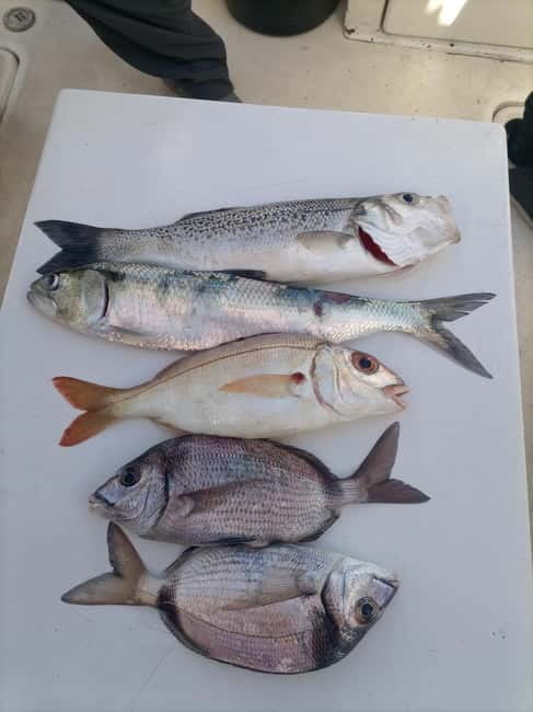 Cascais: Half-Day Fishing Trip - Your 3-hour cruise: what the time feels like on the water