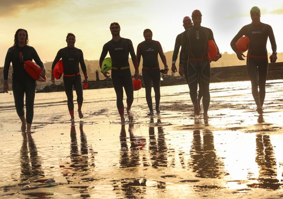 Cascais: Open Water Swimming - What to Expect When Marine Life Enters the Picture