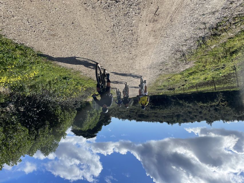 Cascais-Sintra E-bike Tour: Coast & Countryside Adventure - What you get for $194: value check and what to budget