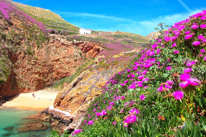Catamaran trip to Berlengas Island + visit to the caves - Who this tour fits best (and who should choose a different plan)