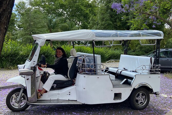 Classic Lisbon & Earthquake Tour by Private Tuk Tuk (4 Hours) - A private tuk tuk is the smart way to see Lisbon in 4 hours