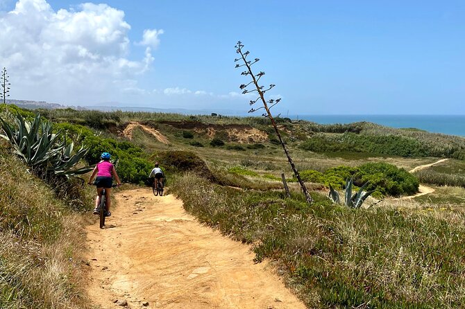Cliff Top Ride - Key things to love about Cliff Top Ride