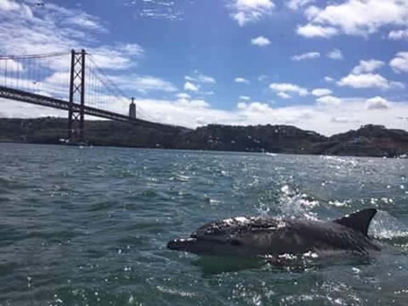 Cultural Sailing Tour in Lisbon - Who this Lisbon sailing tour is best for