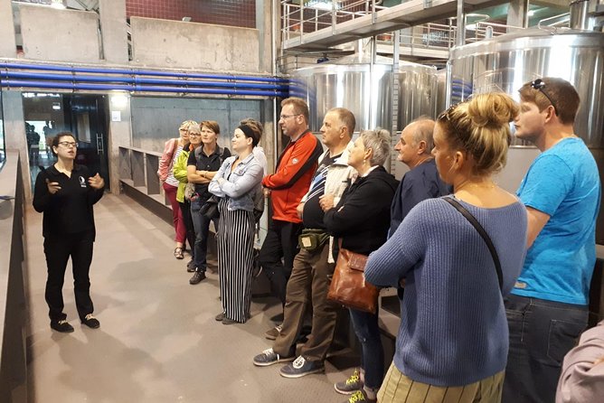 Day trip Lisbon Wine Tasting - Private tour - Who this Lisbon wine tasting day trip fits best